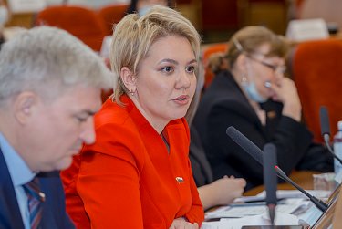 Депутаты приняли отчет полиции 